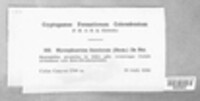 Image Associated With the Occurence
